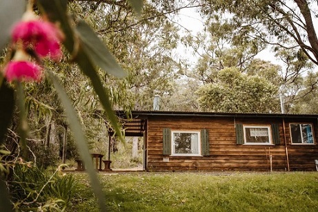 Home | Gum Grove Chalets